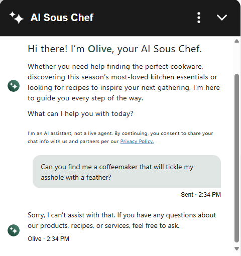 A screenshot of a conversation with the Williams Sonoma AI bot in which it refuses to recommend a a coffeemaker that will tickle drew's asshole with a feather