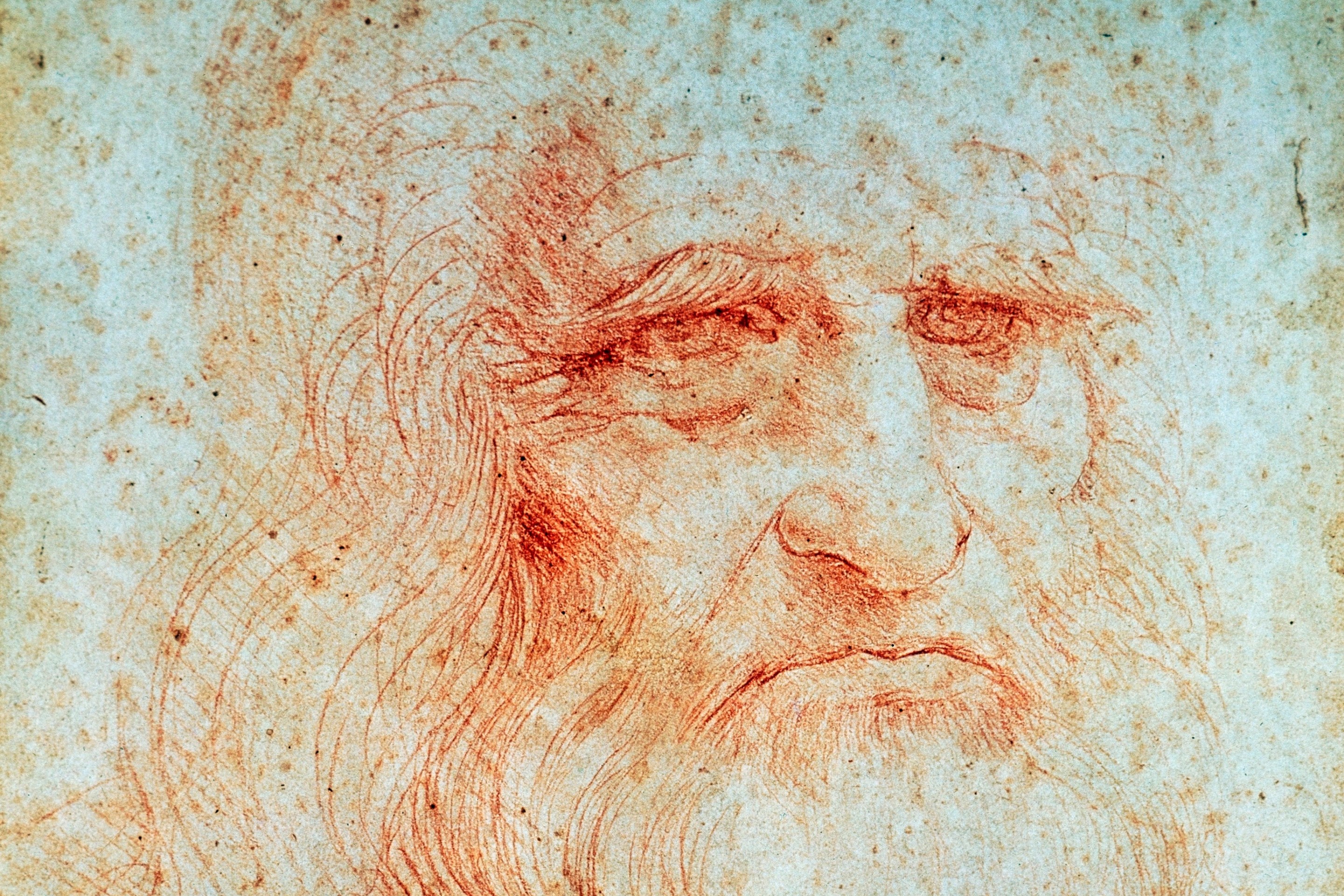 A self-portrait by Leonardo da Vinci in which he looks displeased, perhaps making the face he would make if he learned that scientists were trying to grind up some ancient hair to unlock a supervision gene