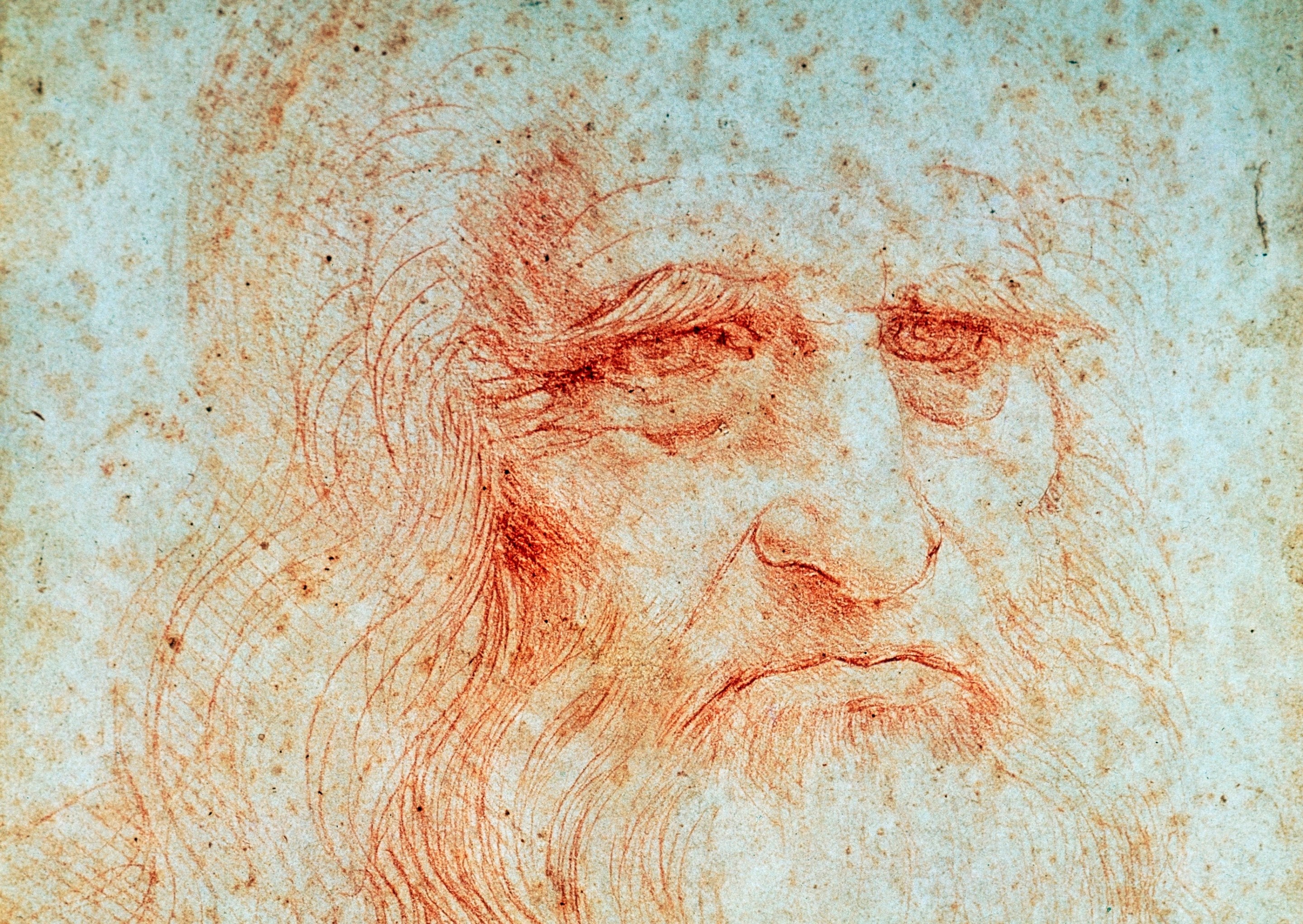 A self-portrait by Leonardo da Vinci in which he looks displeased, perhaps making the face he would make if he learned that scientists were trying to grind up some ancient hair to unlock a supervision gene