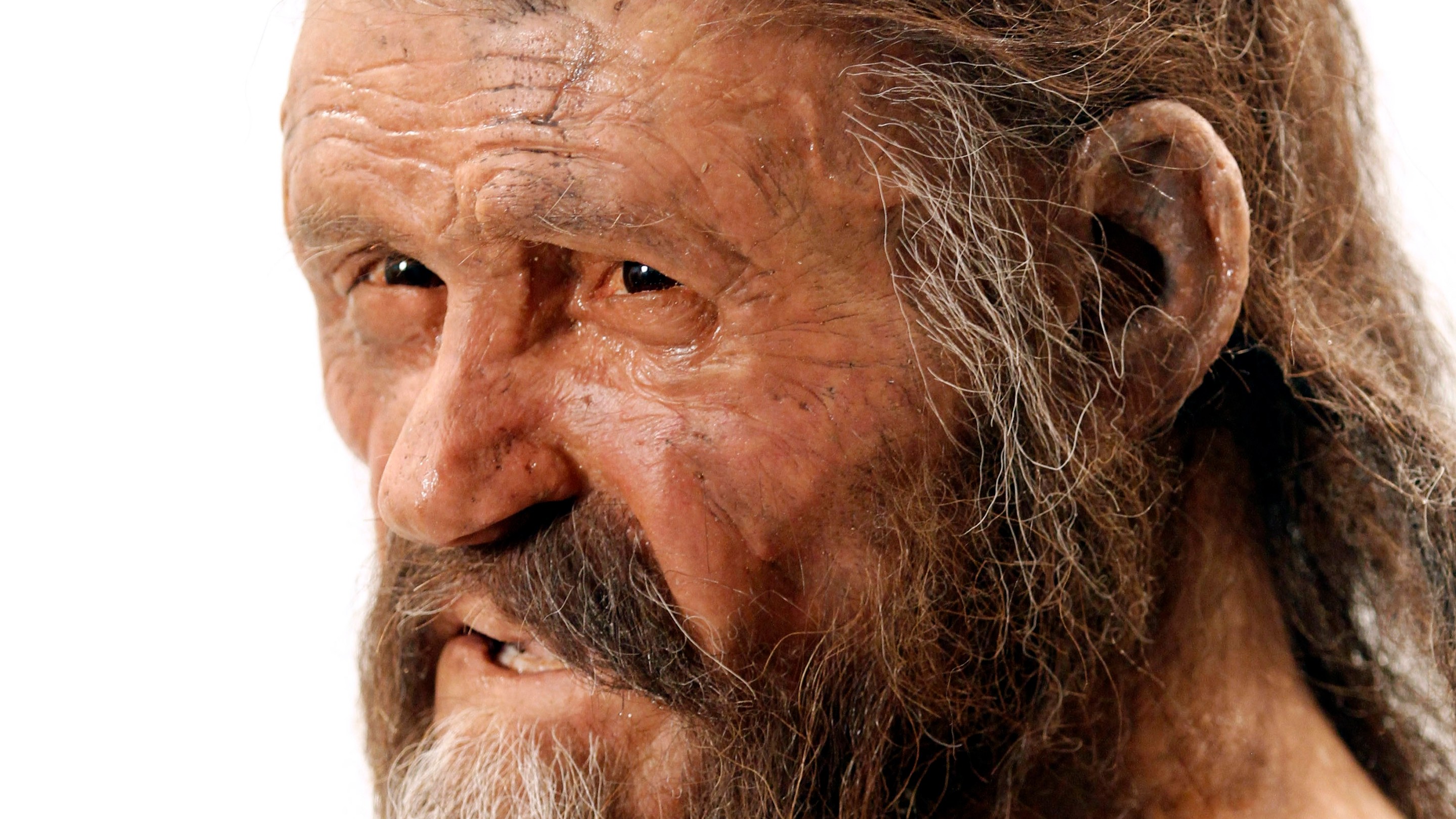 A statue representing an iceman named Oetzi, discovered on 1991 in the Italian Schnal Valley glacier, is displayed at the Archaeological Museu of Bolzano