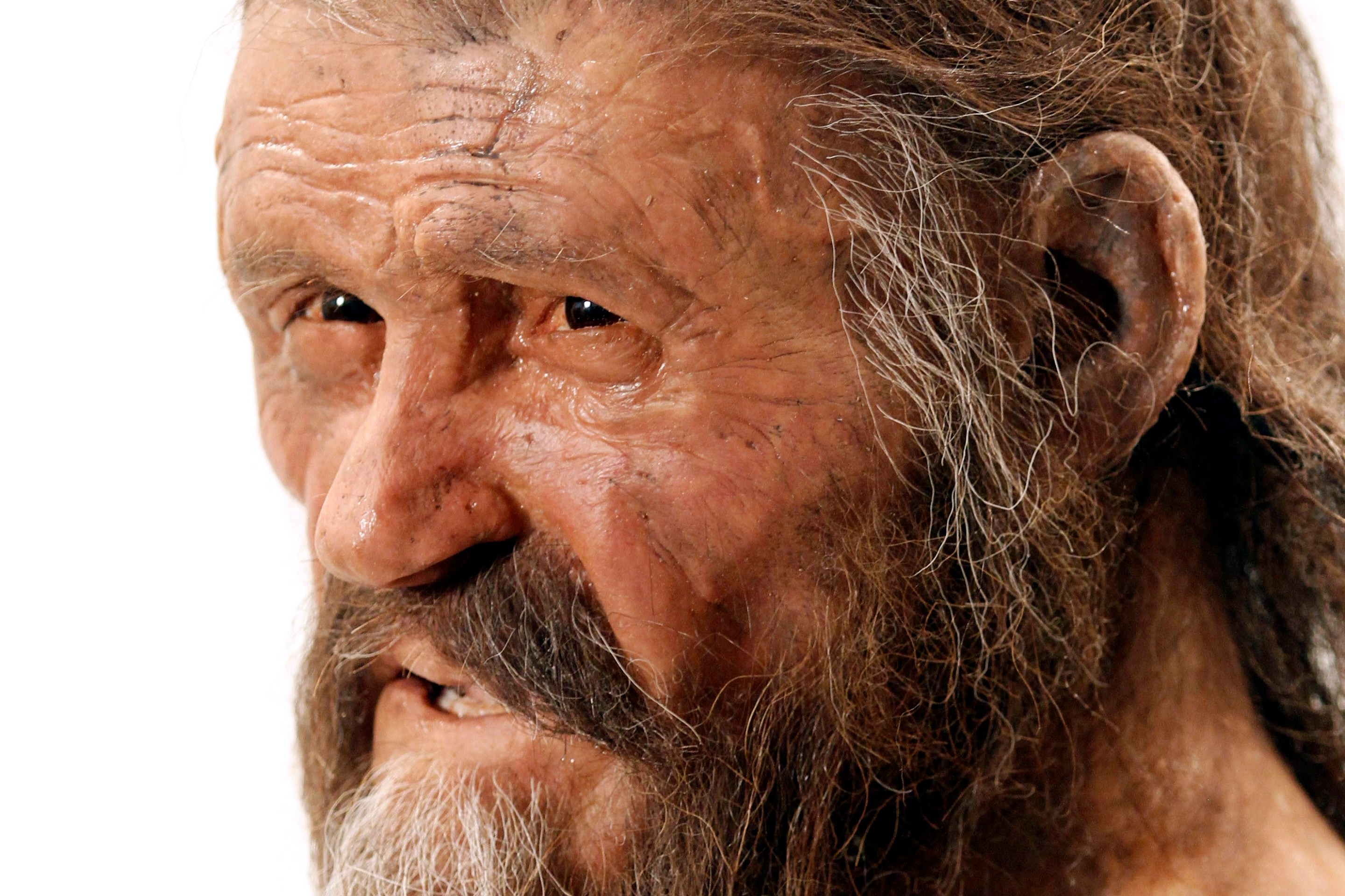 A statue representing an iceman named Oetzi, discovered on 1991 in the Italian Schnal Valley glacier, is displayed at the Archaeological Museu of Bolzano