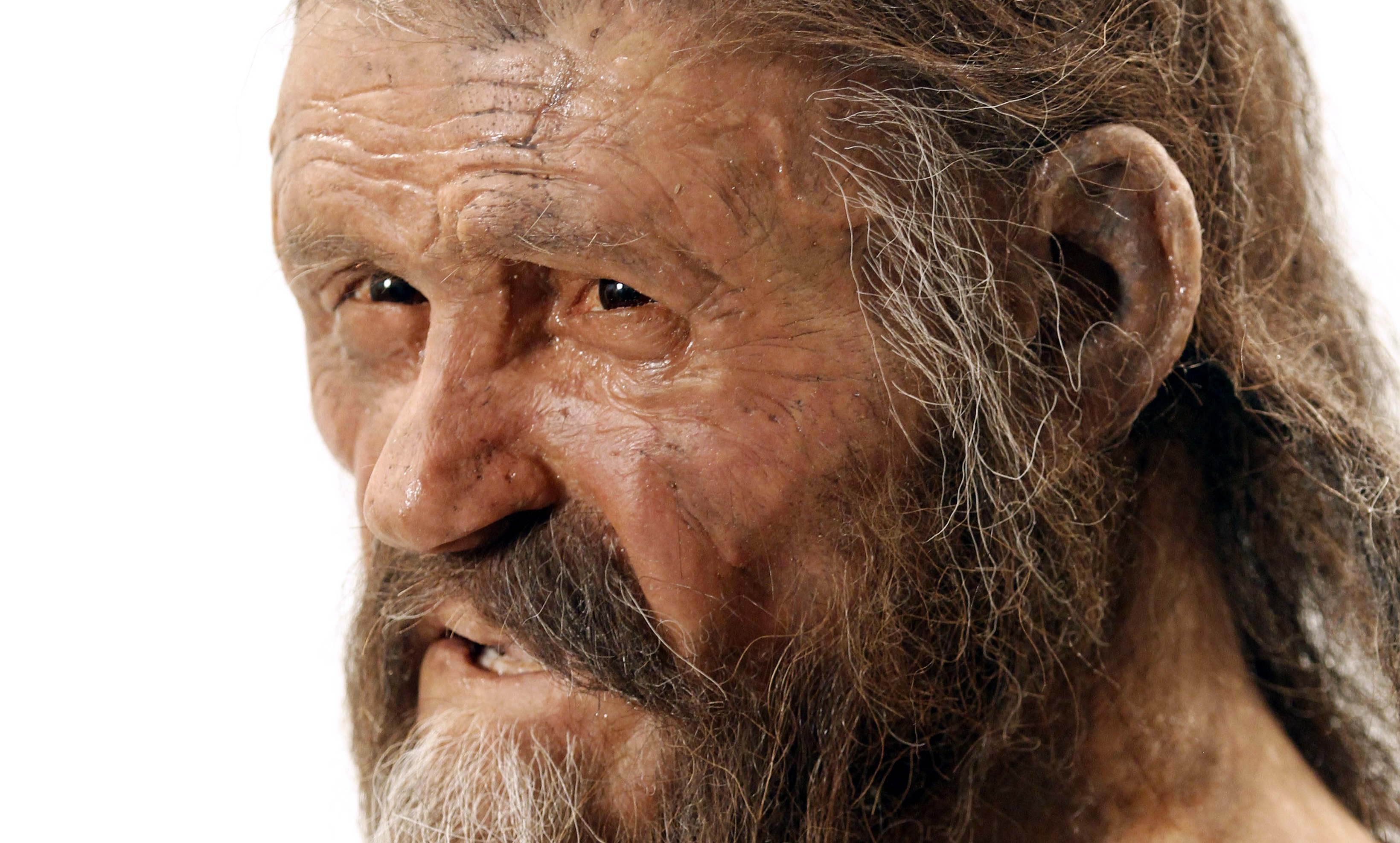 A statue representing an iceman named Oetzi, discovered on 1991 in the Italian Schnal Valley glacier, is displayed at the Archaeological Museu of Bolzano