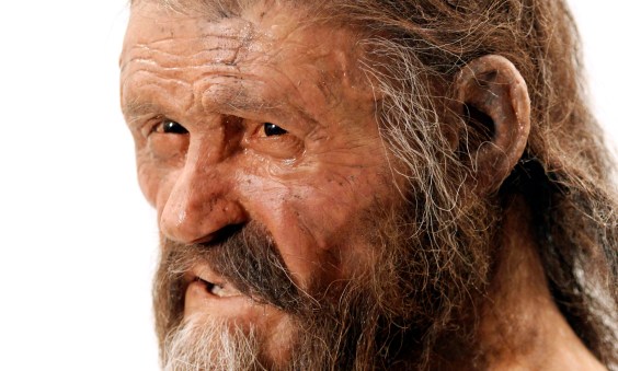 Let The Record Show That Ötzi Fucked