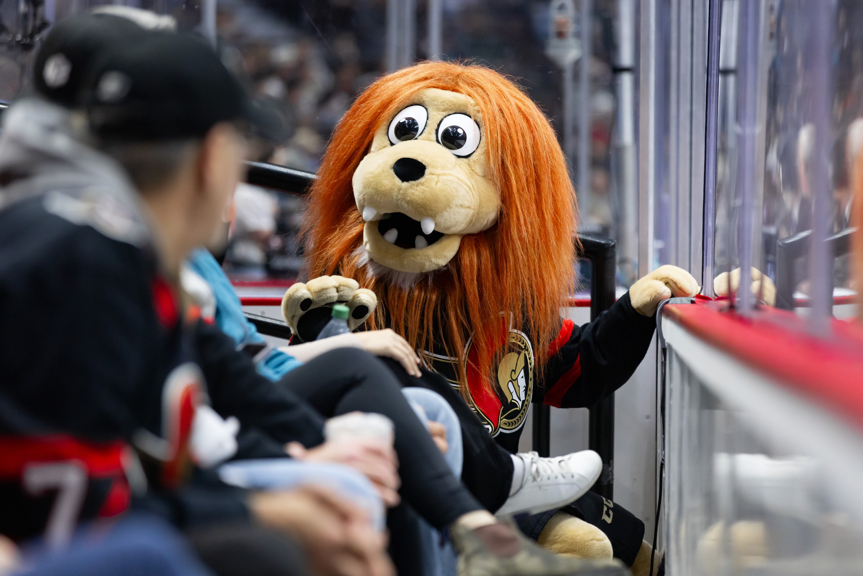 OTTAWA, ON - NOVEMBER 14: Ottawa Senators Mascot Spartacat in the crowd during second period National Hockey League action between the Philadelphia Flyers and Ottawa Senators on November 14, 2024, at Canadian Tire Centre in Ottawa, ON, Canada. (Photo by Richard A. Whittaker/Icon Sportswire)
