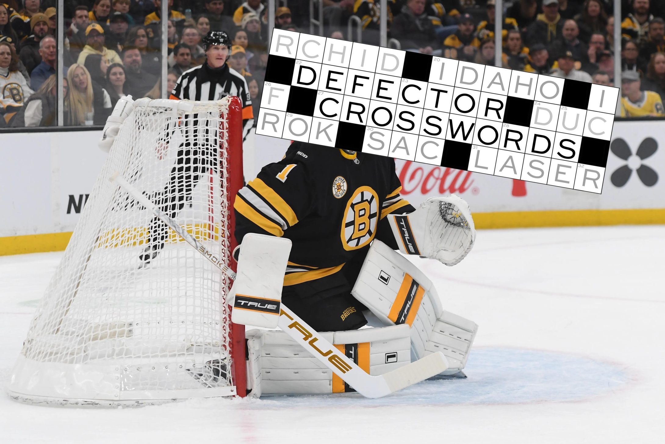 The Crossword, Jan. 19: Sole Cycle | Defector