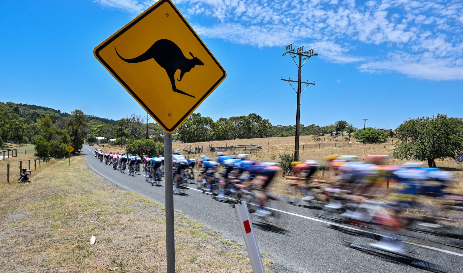 The peloton rides past a kangaroo road sign during the Tour Down Under UCI Men's Cycling in Adelaide on January 25, 2026.