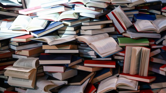 Confessions Of A Bookanizer