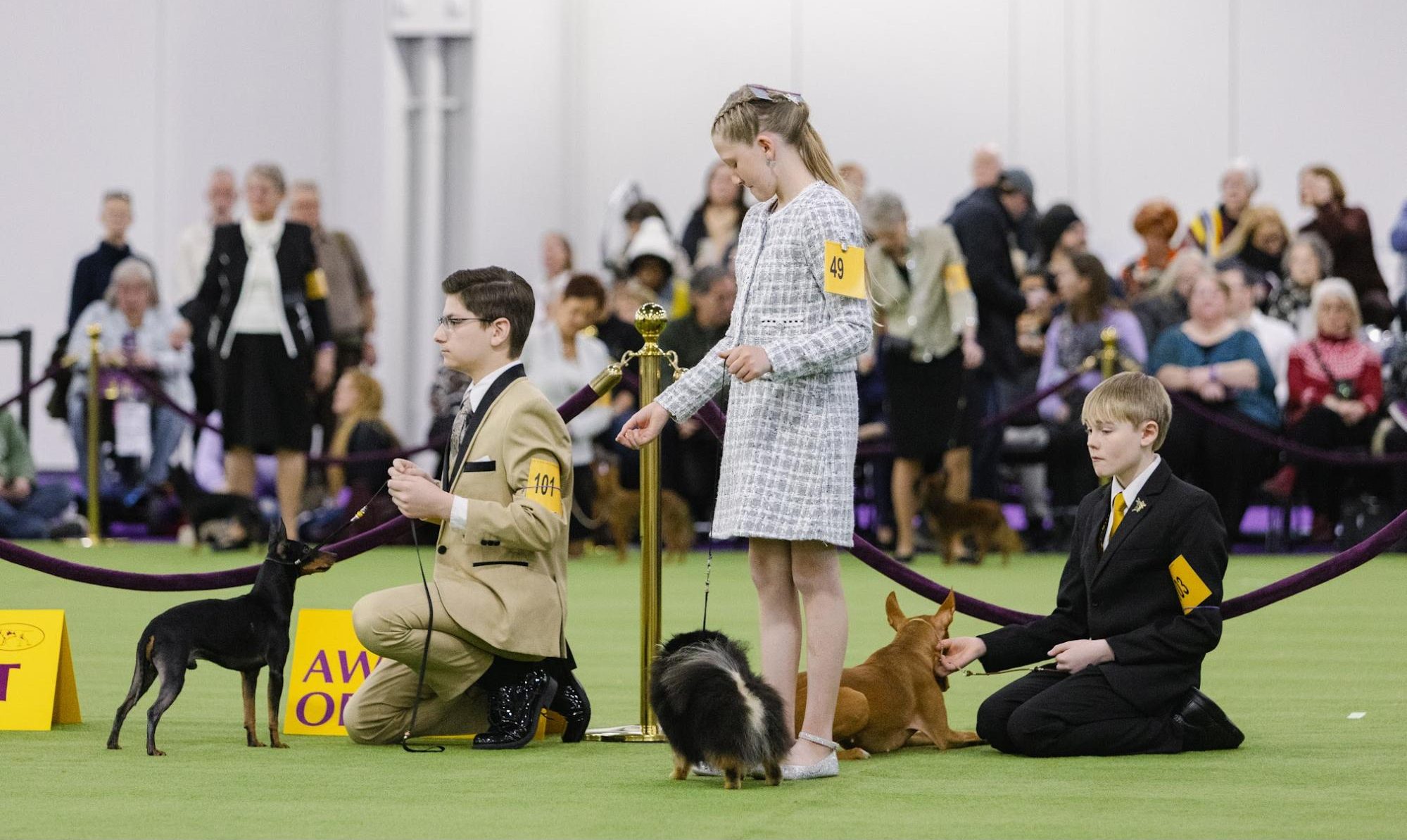 The Westminster Dog Show's Youngest Handlers Don't Know If They Want To Do This Forever | Defector