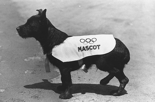 a black dog named smoky wearing an olympic coat that reads MASCOT