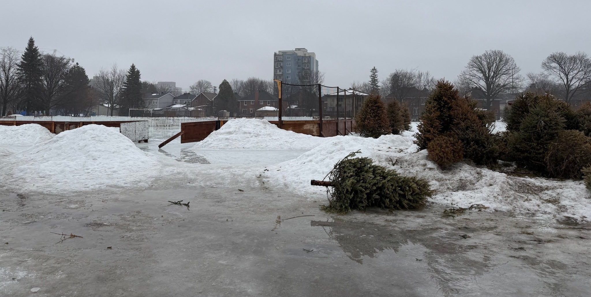 Piles of dirty snow and discarded trees, backdropped by a wet, gray sky. One featureless building is visible in the background. On the whole, not a postcard view.