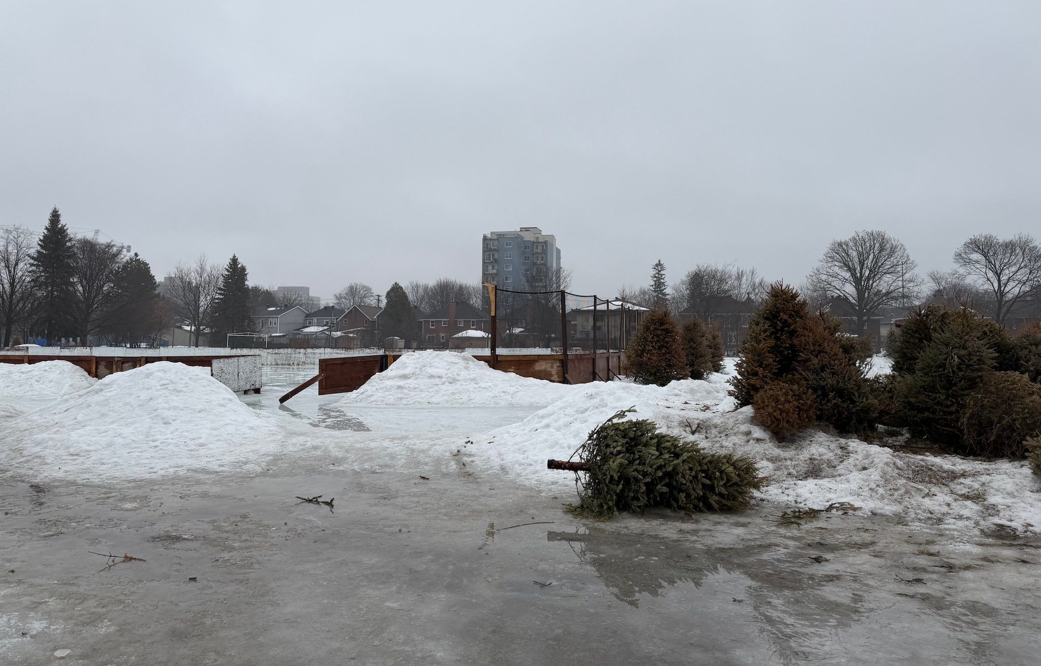 Piles of dirty snow and discarded trees, backdropped by a wet, gray sky. One featureless building is visible in the background. On the whole, not a postcard view.