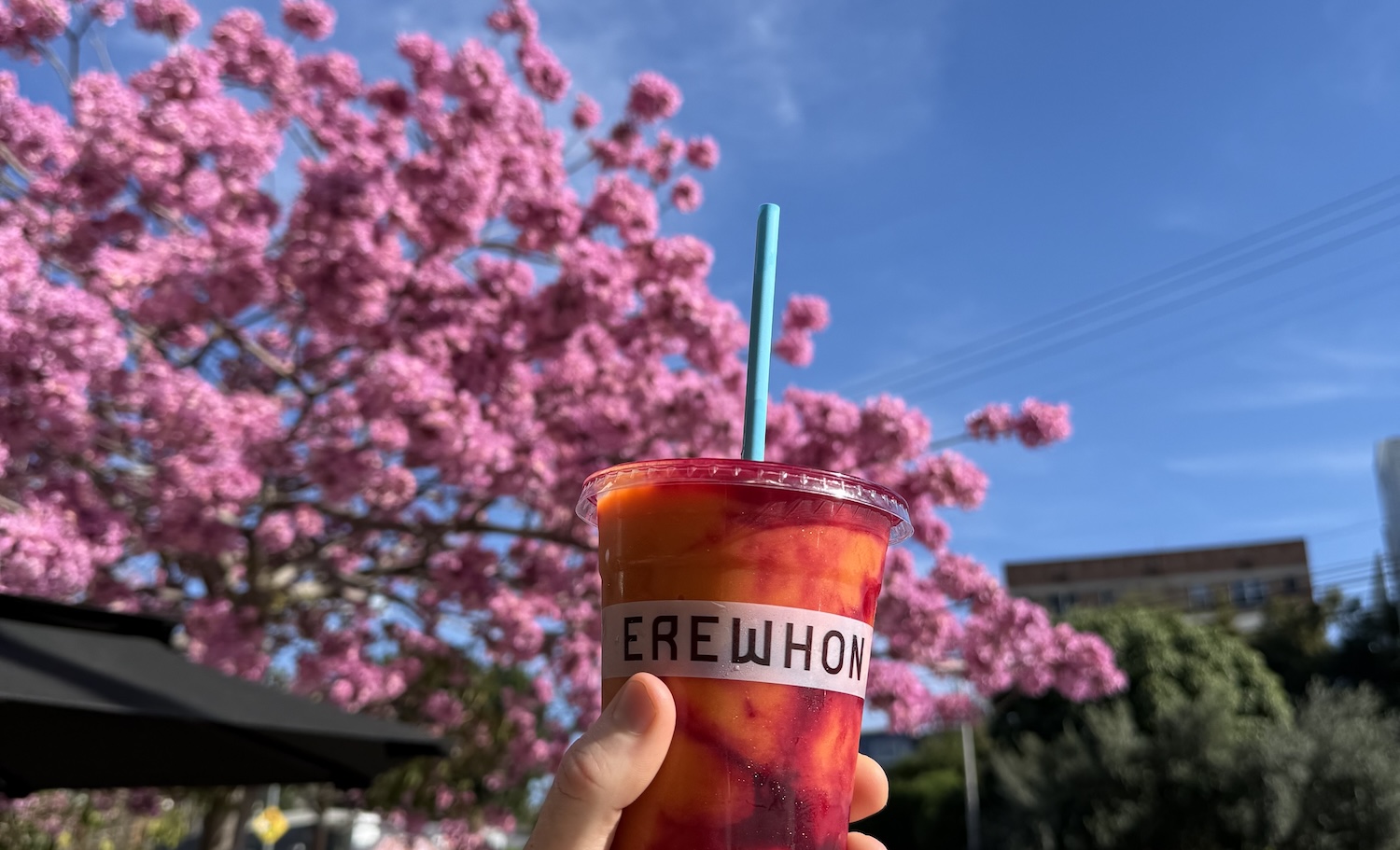 Erewhon Is Not A Grocery Store | Defector