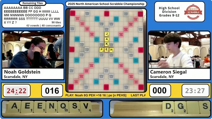 A screenshot of the livestream of the match between Goldstein and Siegal