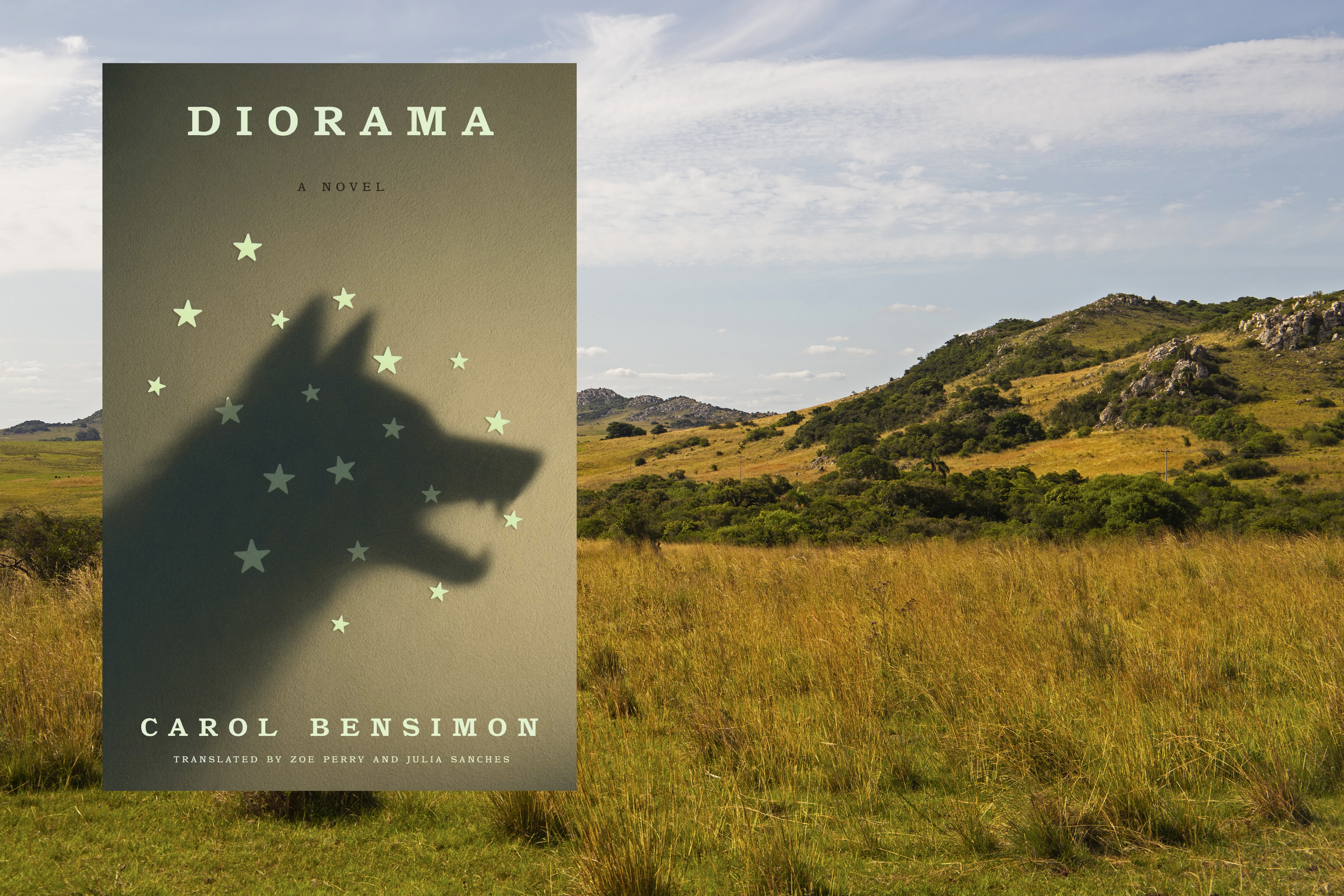 Anatomy Of A Gaucho | Defector