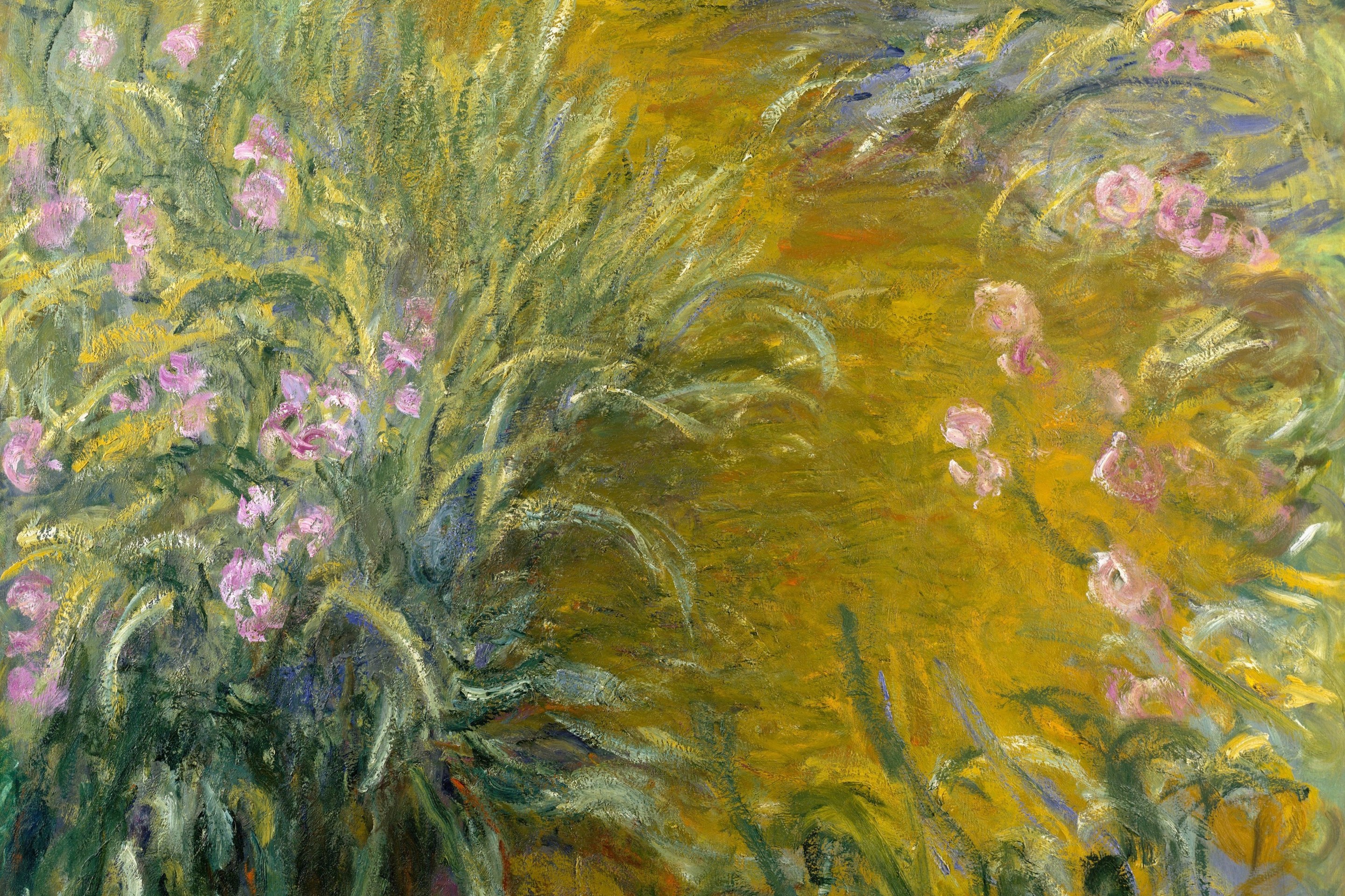 A yellow path curves through sprays of purple irises.