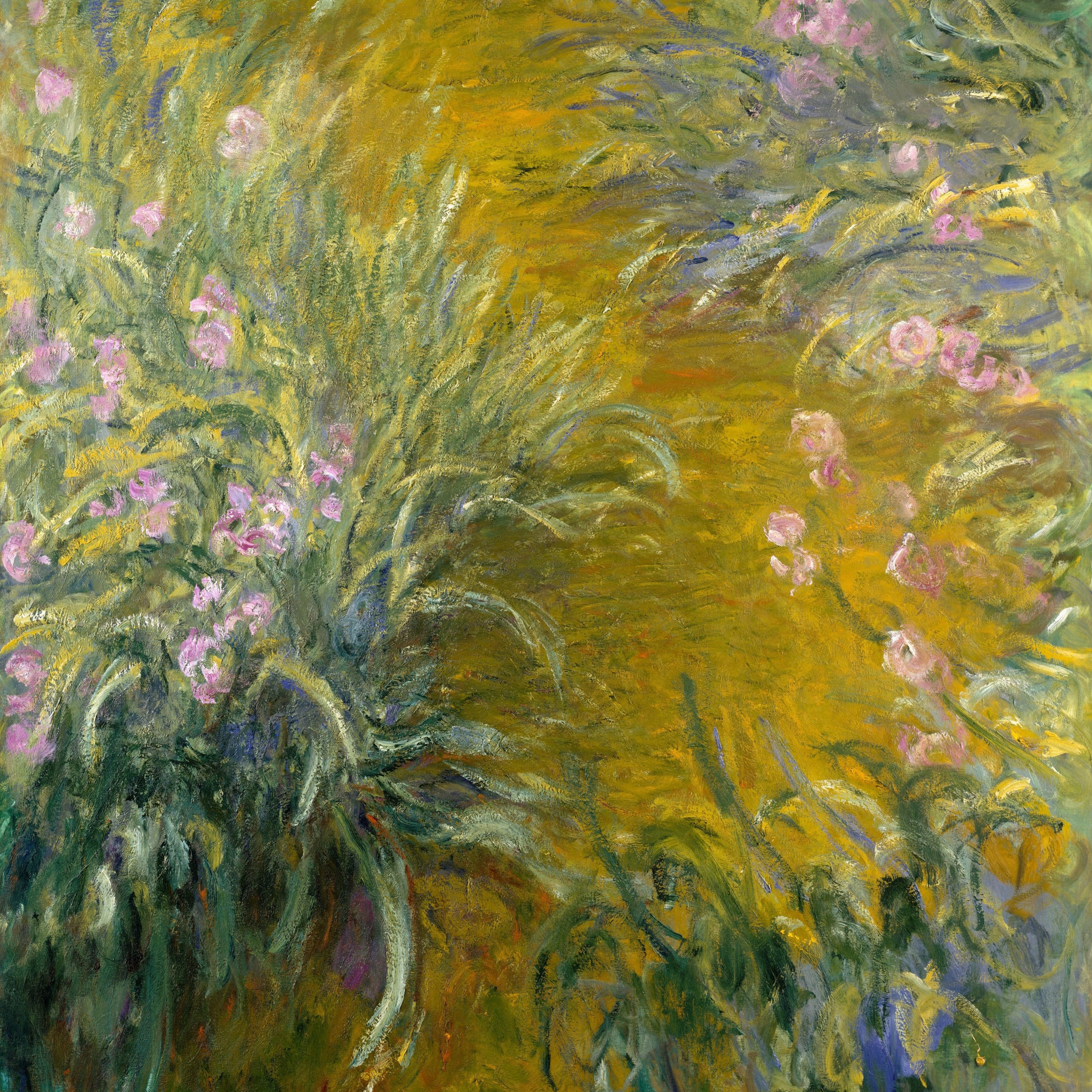 A yellow path curves through sprays of purple irises.
