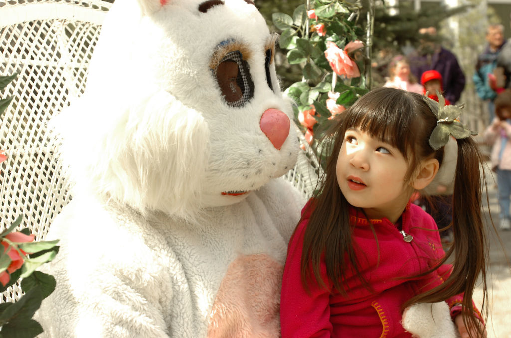 A little girl sits on the lap of the easter bunny and looks skeptical