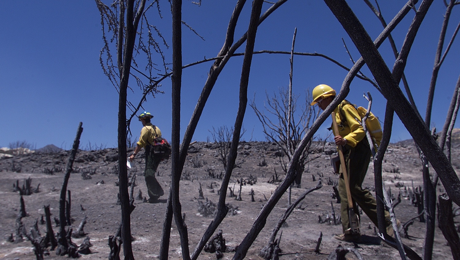Spencer Weiner 805–653–7527 –– – (left–r) Steve Galbraith and Kim Cuevas, United States Department of Agriculture Forest Service Archaeologists, search burn area near Lions camp in Rose Valley. The Forest Service regularly researches ruins, or other artifacts revealed in Wilderness areas after wildfires. Members of U.S. Forest Service Archeological team are in areas of the Sespe Wilderness to check on the condition of rare Native American rock art and other artifacts that may have been damaged when the wolf fire raged through the area last week.