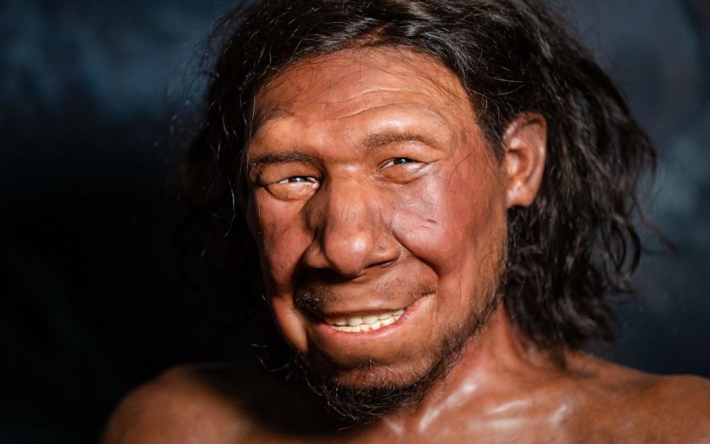 A picture taken on September 6, 2021 shows the reconstruction of the face of the oldest Neanderthal found in the Netherlands, nicknamed Krijn, on display at the National Museum of Antiquities in Leiden. - - Netherlands OUT (Photo by Bart Maat / ANP / AFP) / Netherlands OUT (Photo by BART MAAT/ANP/AFP via Getty Images)