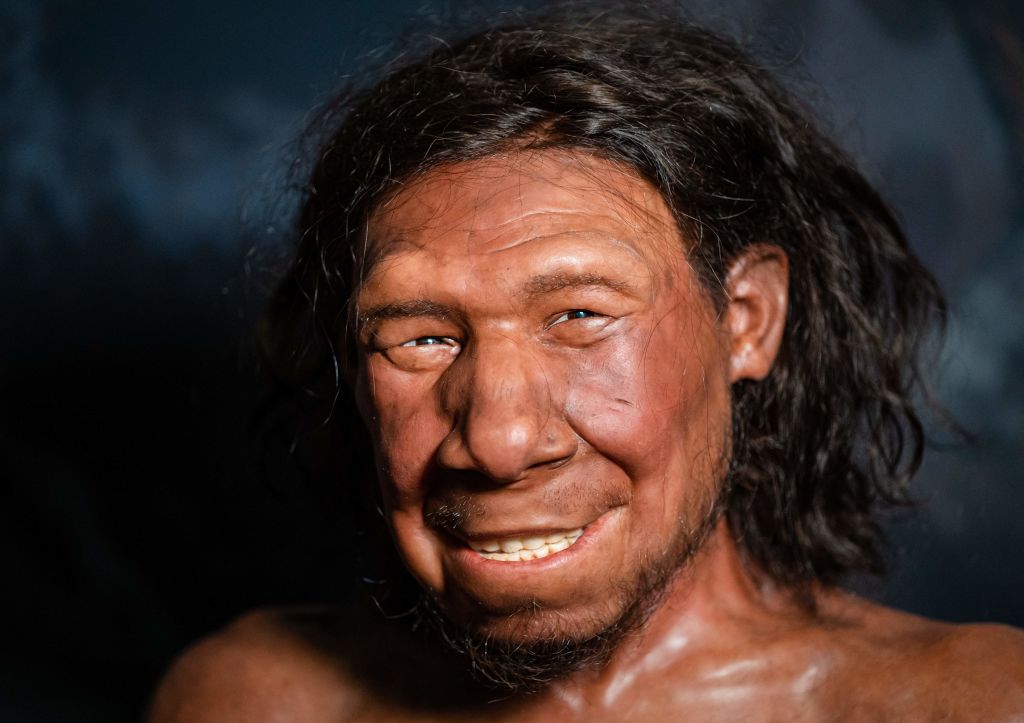 A picture taken on September 6, 2021 shows the reconstruction of the face of the oldest Neanderthal found in the Netherlands, nicknamed Krijn, on display at the National Museum of Antiquities in Leiden. - - Netherlands OUT (Photo by Bart Maat / ANP / AFP) / Netherlands OUT (Photo by BART MAAT/ANP/AFP via Getty Images)