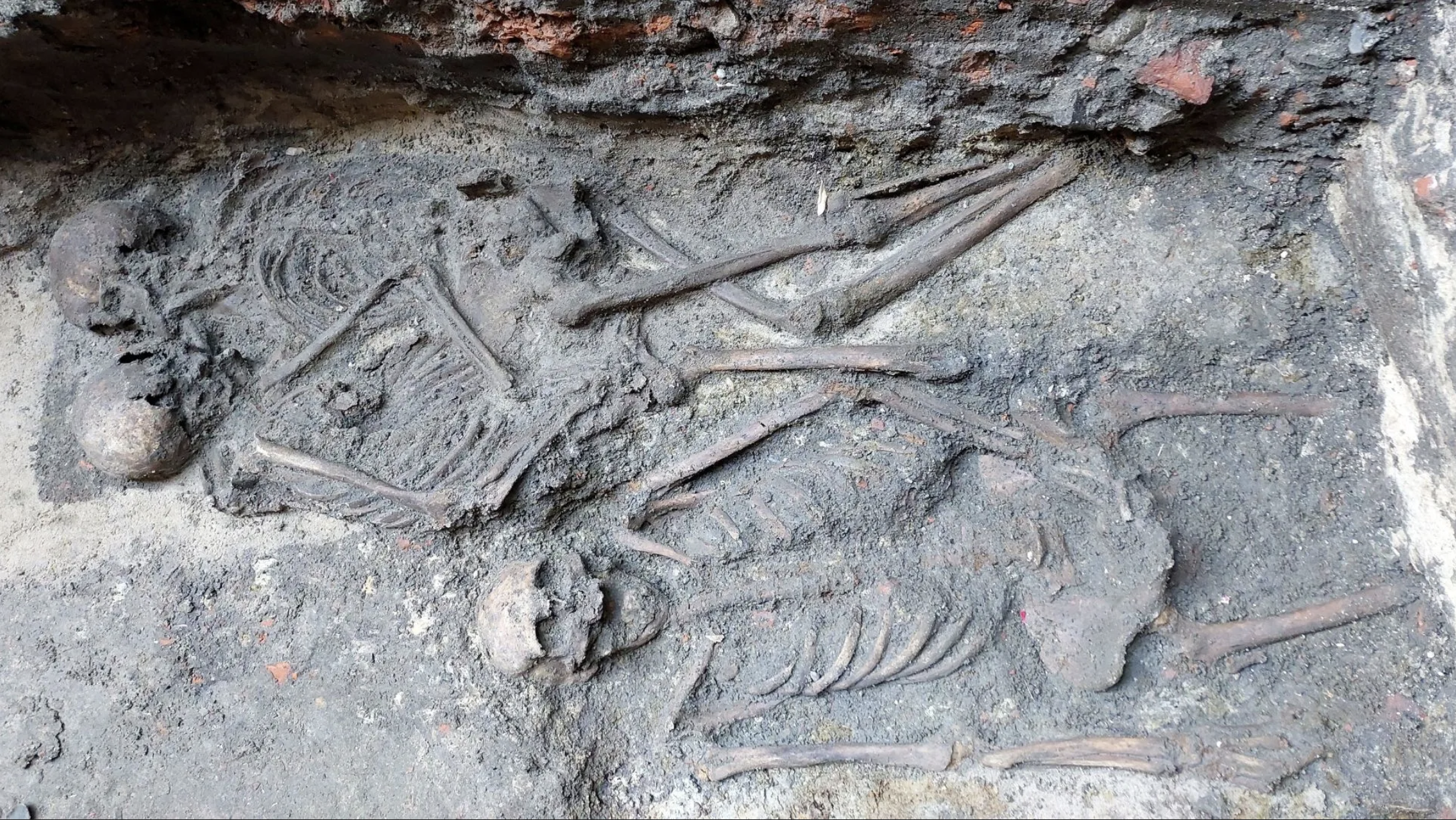 the hugging skeletons being excavated