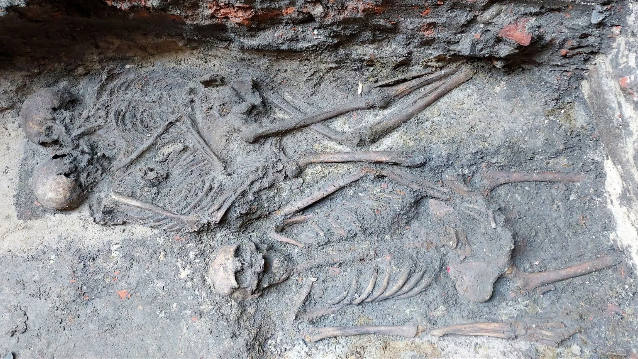the hugging skeletons being excavated