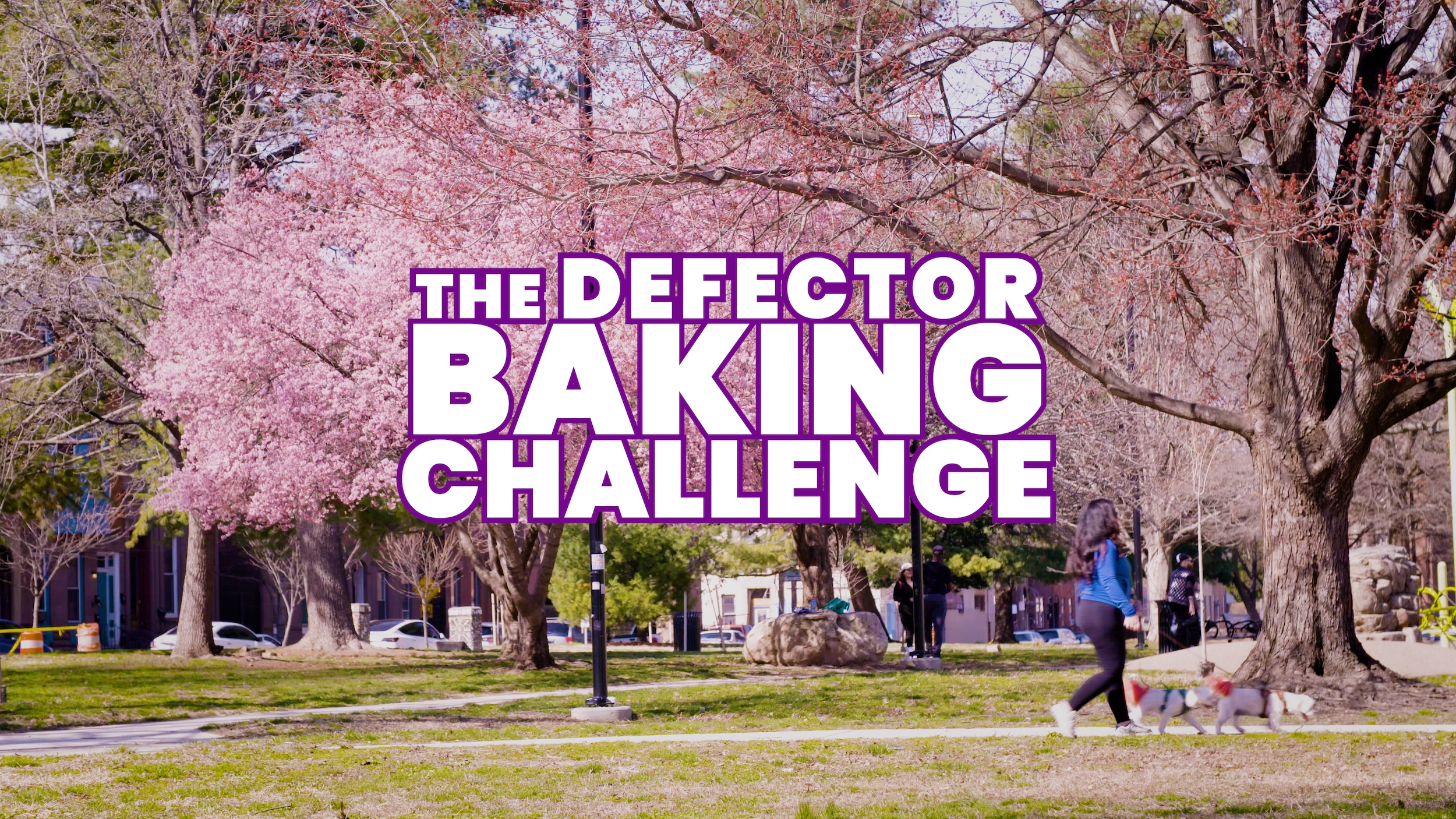 The title says The Defector Baking Challenge over a park with pink blooming cherry blossoms.