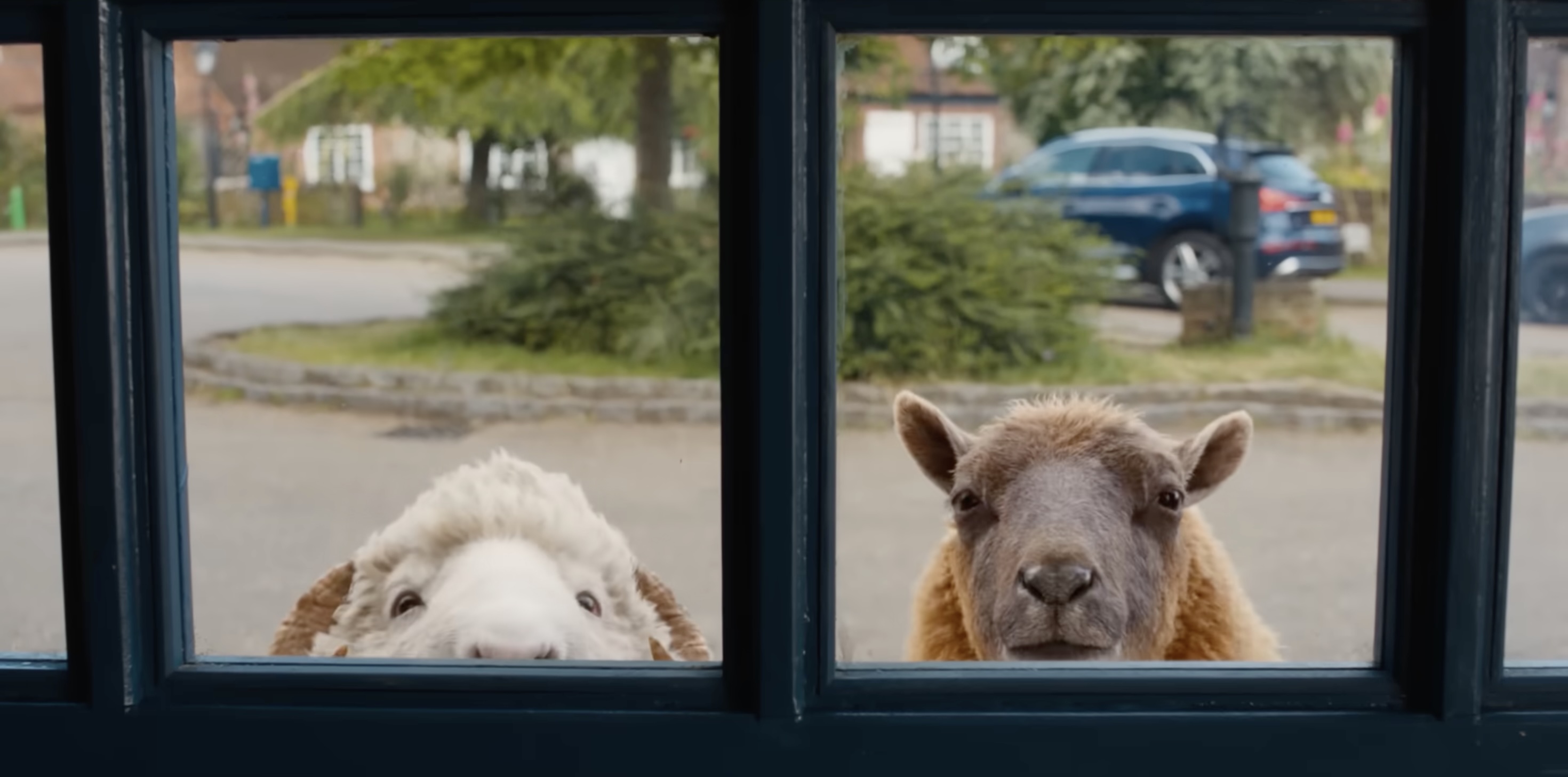 'The Sheep Detectives' Made Me Baaaawl My Eyes Out | Defector