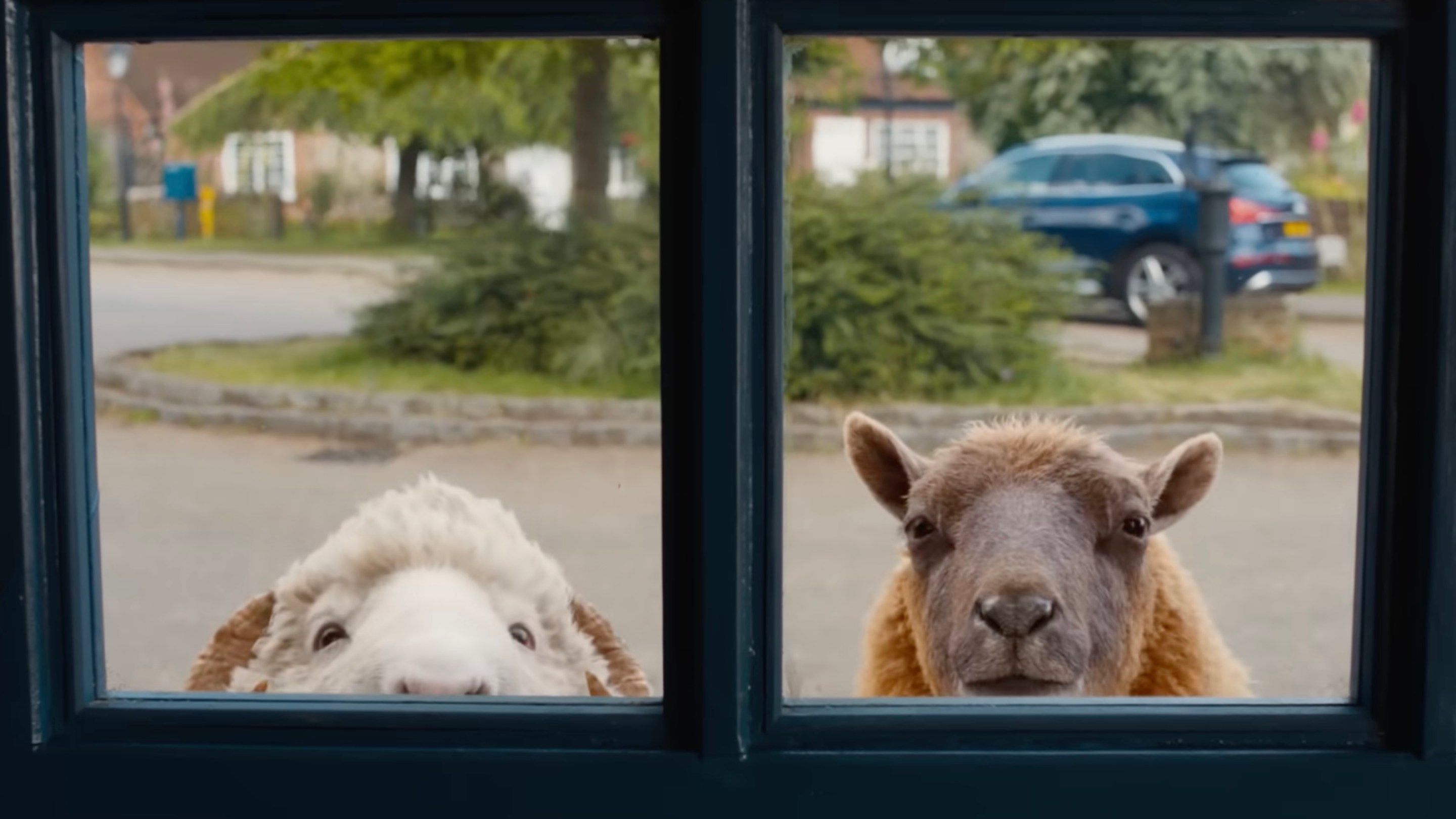 two computer-animated sheep peering through a window