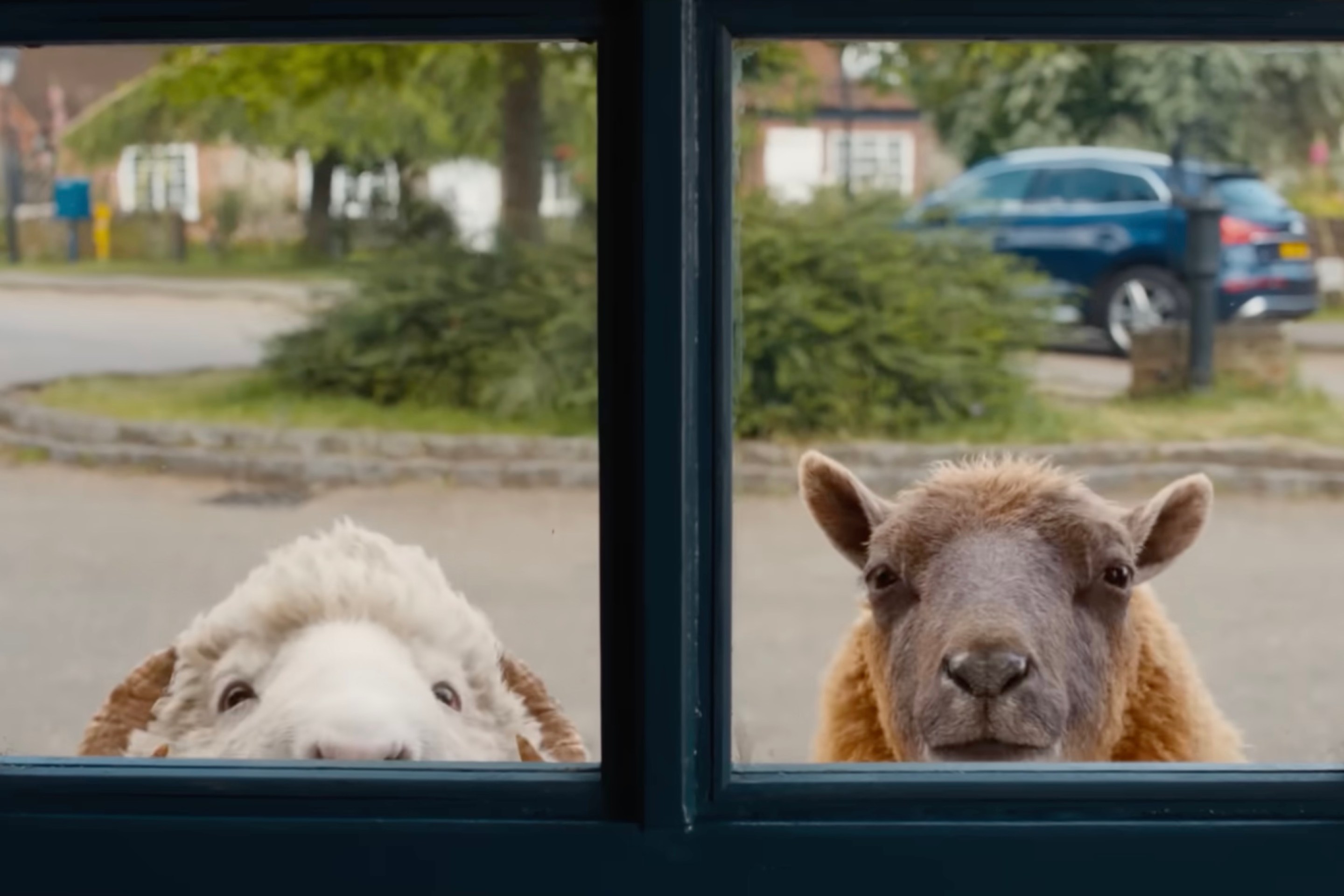 two computer-animated sheep peering through a window