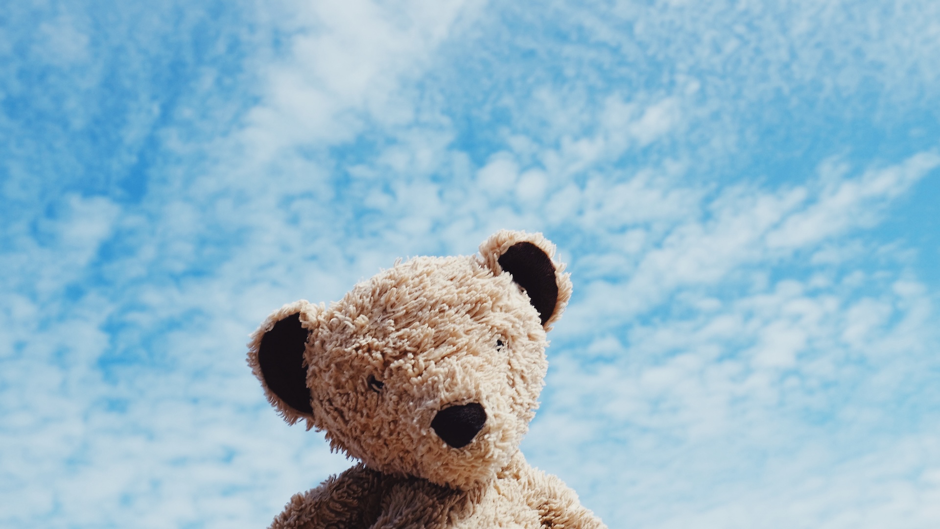 A teddy bear against a blue sky