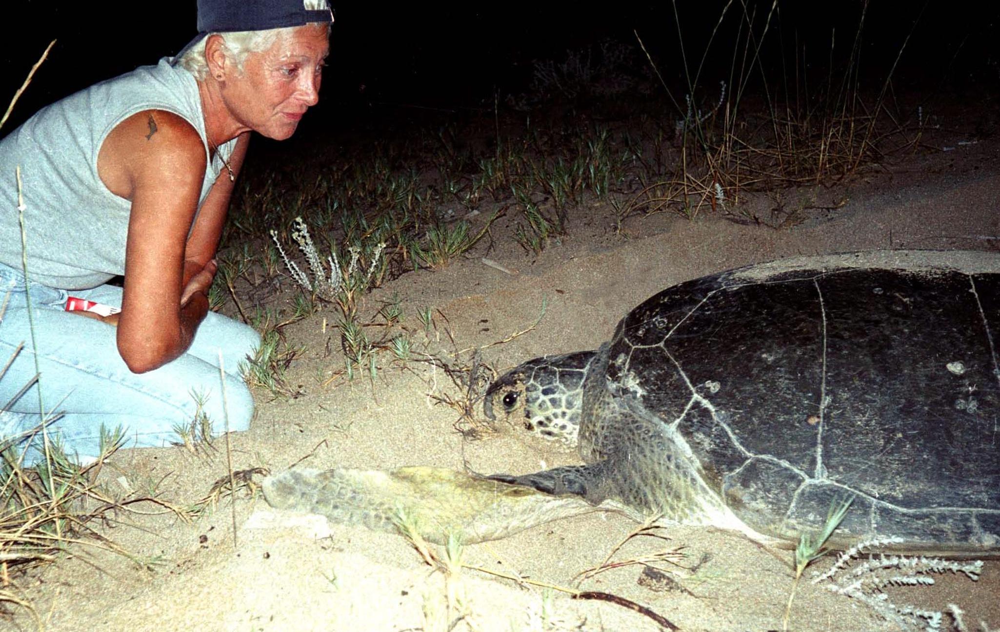 Mona Khalil, a Lebanese ecologist activist looks at a turtle at a coast in the southern Lebanese port city of Tyre 12 August 2002