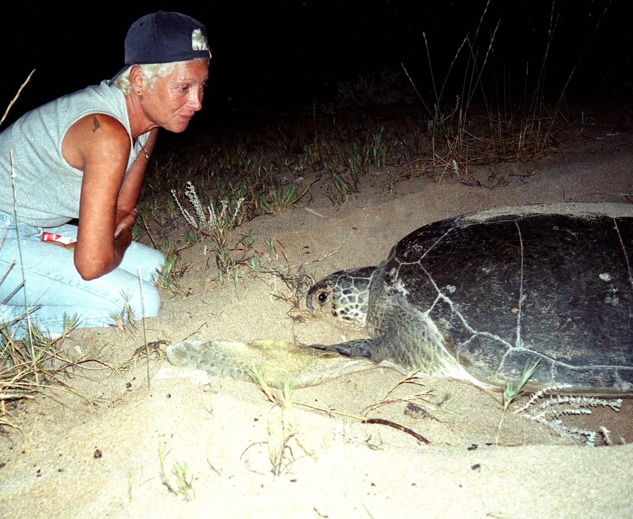 Mona Khalil, a Lebanese ecologist activist looks at a turtle at a coast in the southern Lebanese port city of Tyre 12 August 2002