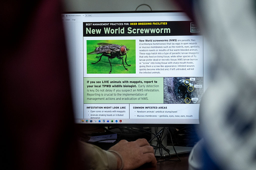 A view inside the Texas Division of Emergency Management State Operations Center as they respond to the New World Screwworm threat on June 5, 2026 in Austin, Texas.