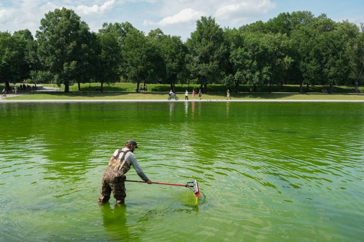 National Park Service workers push algae towards an aeration area in the center of the Lincoln Memorial Reflecting Pool following the completion of recent renovations in Washington, DC, on June 14, 2026. The reflecting pool project, undertaken as part of President Donald Trump’s preparations for the nation’s 250th anniversary, began in April and was completed last week.