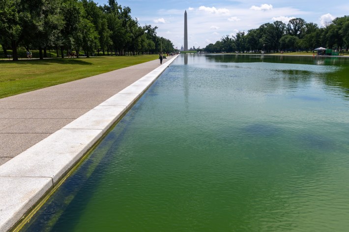 Algae is pictured in the Lincoln Memorial Reflecting Pool following the completion of recent renovations on June 14, 2026 in Washington, DC. The reflecting pool construction project started in April and work was completed last week as part of President Donald Trump’s plan ahead of the nation’s 250th anniversary.
