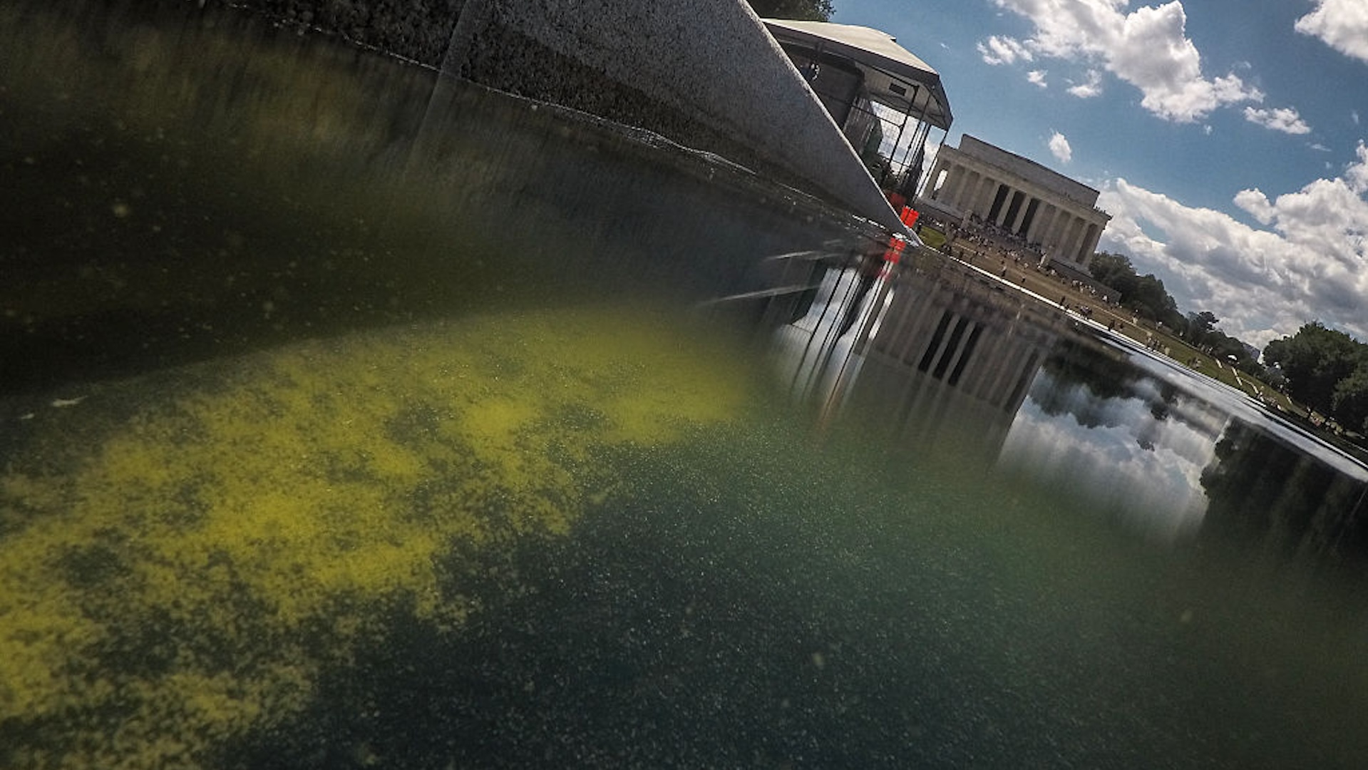 Seen through algae-laden green water, a tear in the recently applied sealant can be seen on the bottom of the Lincoln Memorial Reflecting Pool on June 18, 2026 in Washington, DC.