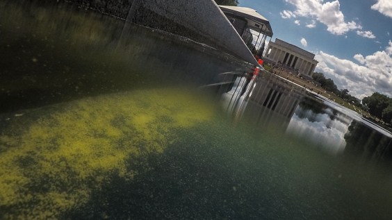 You Can Now Be Arrested For Sticking Your Hand In Donald Trump’s Disgusting Reflecting Pool