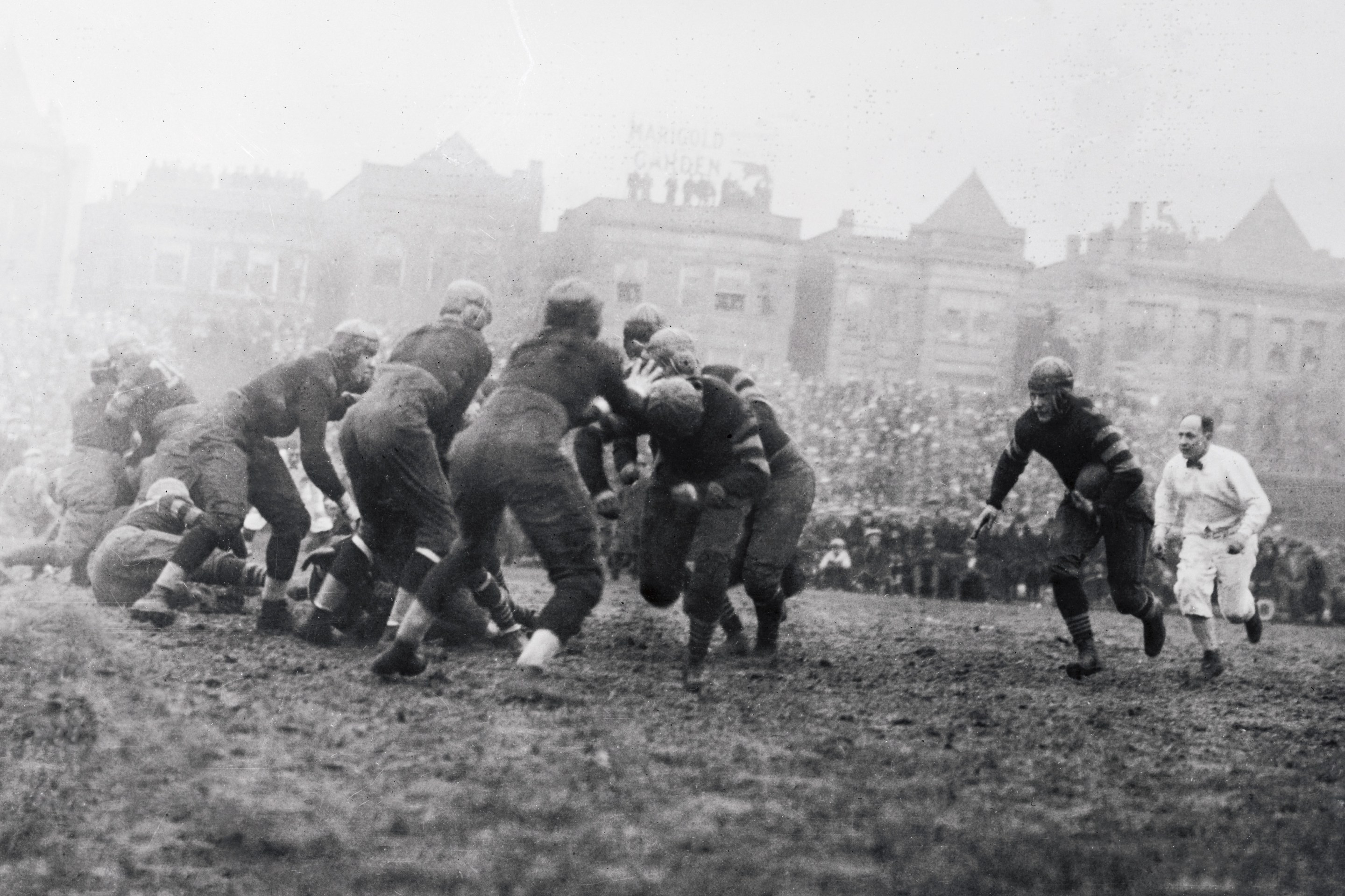 Chicago Bears and Cardinals.