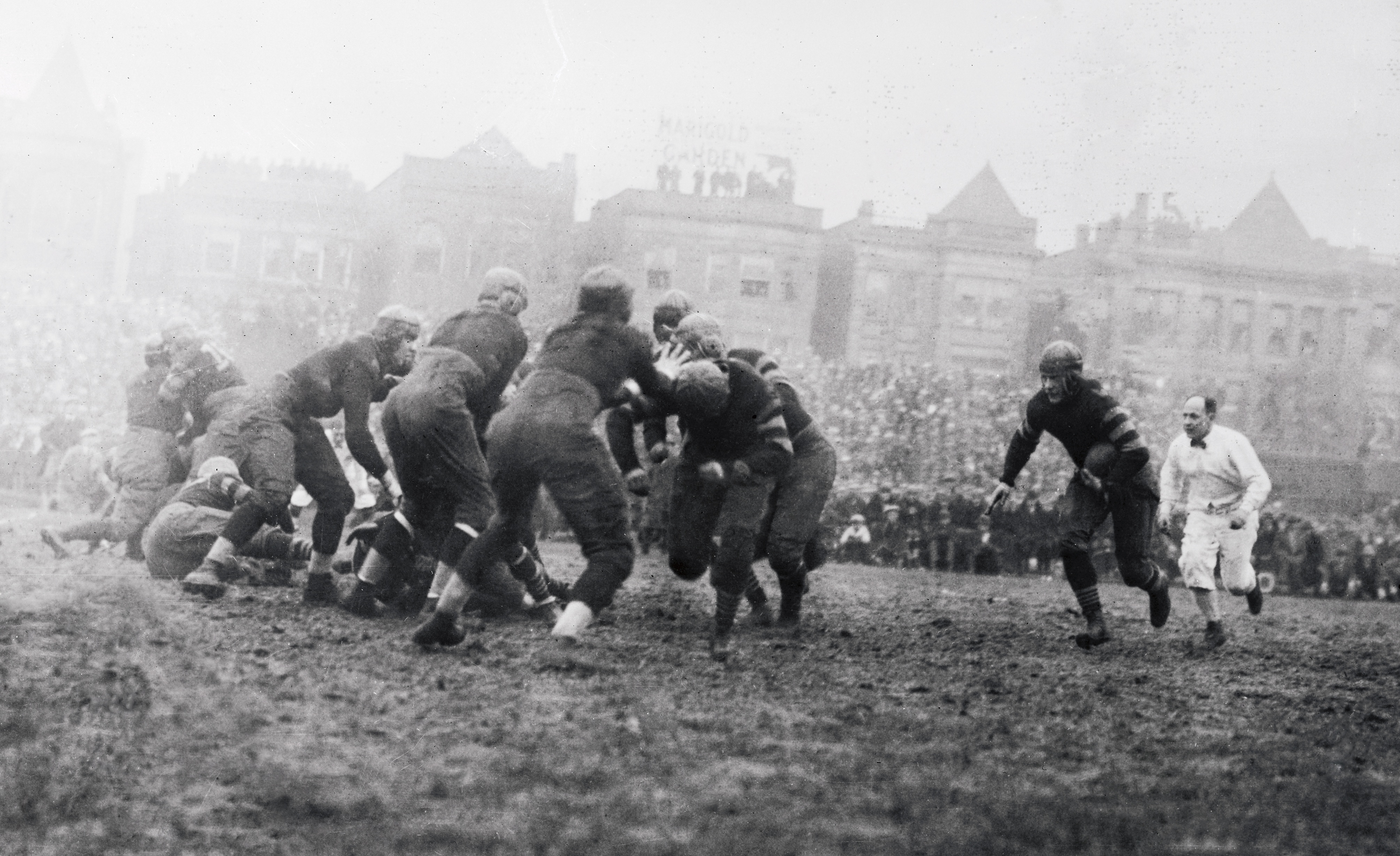 Chicago Bears and Cardinals.