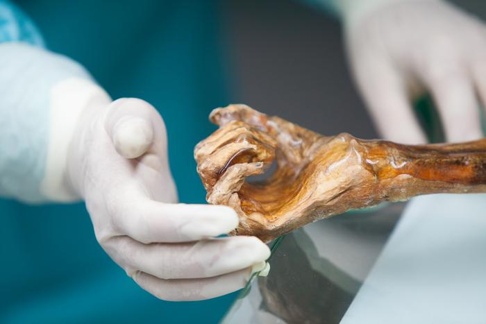 a photo of ötzi the iceman's hand being touched tenderly by a white-gloved researcher's hand