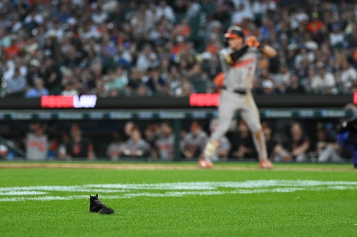 DETROIT, MI - JULY 27: A black squirrel sits in foul territory while Baltimore Orioles second baseman Jackson Holliday (7) bats during the game between the Detroit Tigers versus the Baltimore Orioles on Friday July 24, 2026 at Comerica Park in Detroit, MI. (Photo by Steven King/Icon Sportswire via Getty Images)