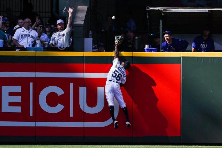 Randy Arozarena leaps for a catch at the wall.
