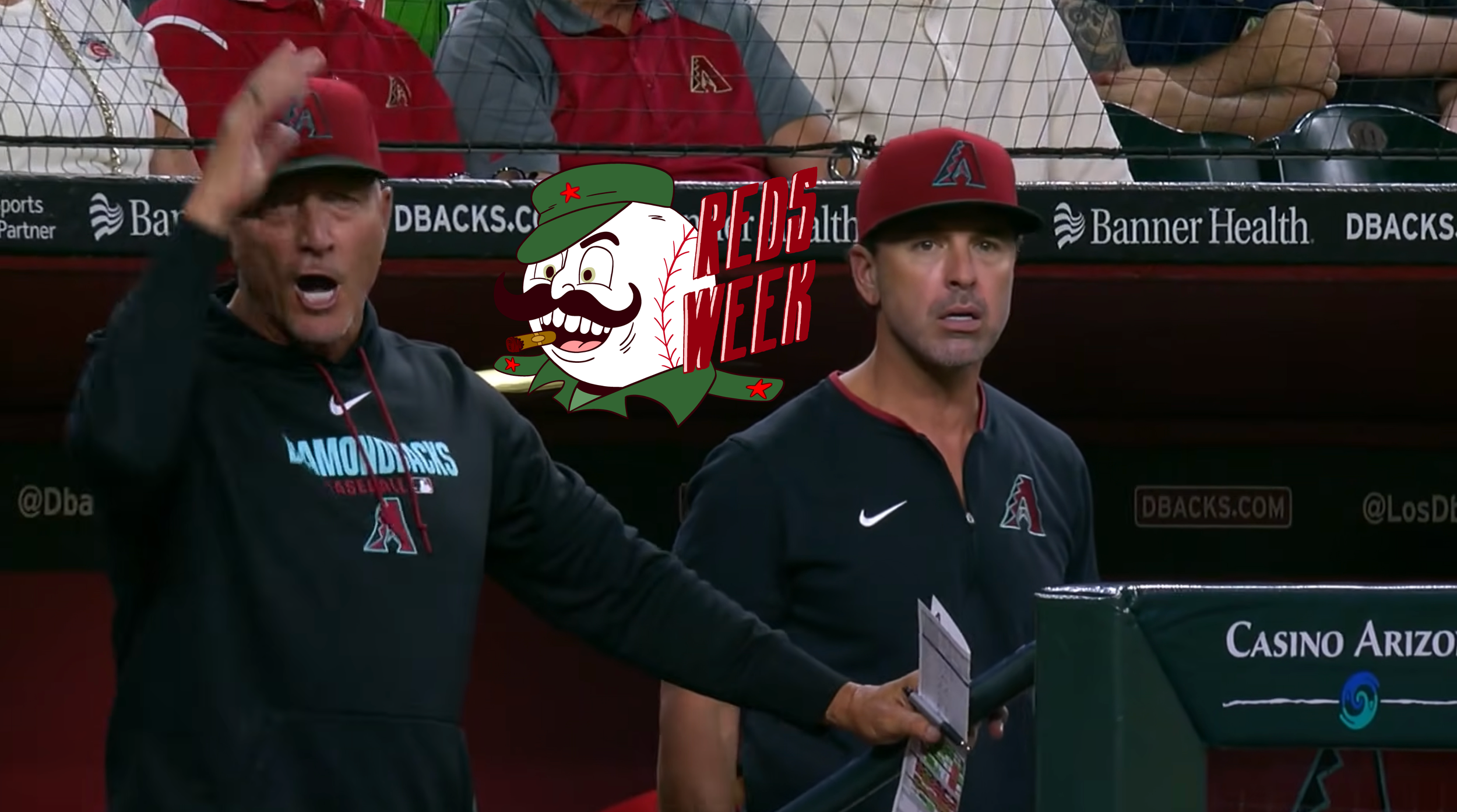 Brian kaplan and jeff banister yelling from the dugout