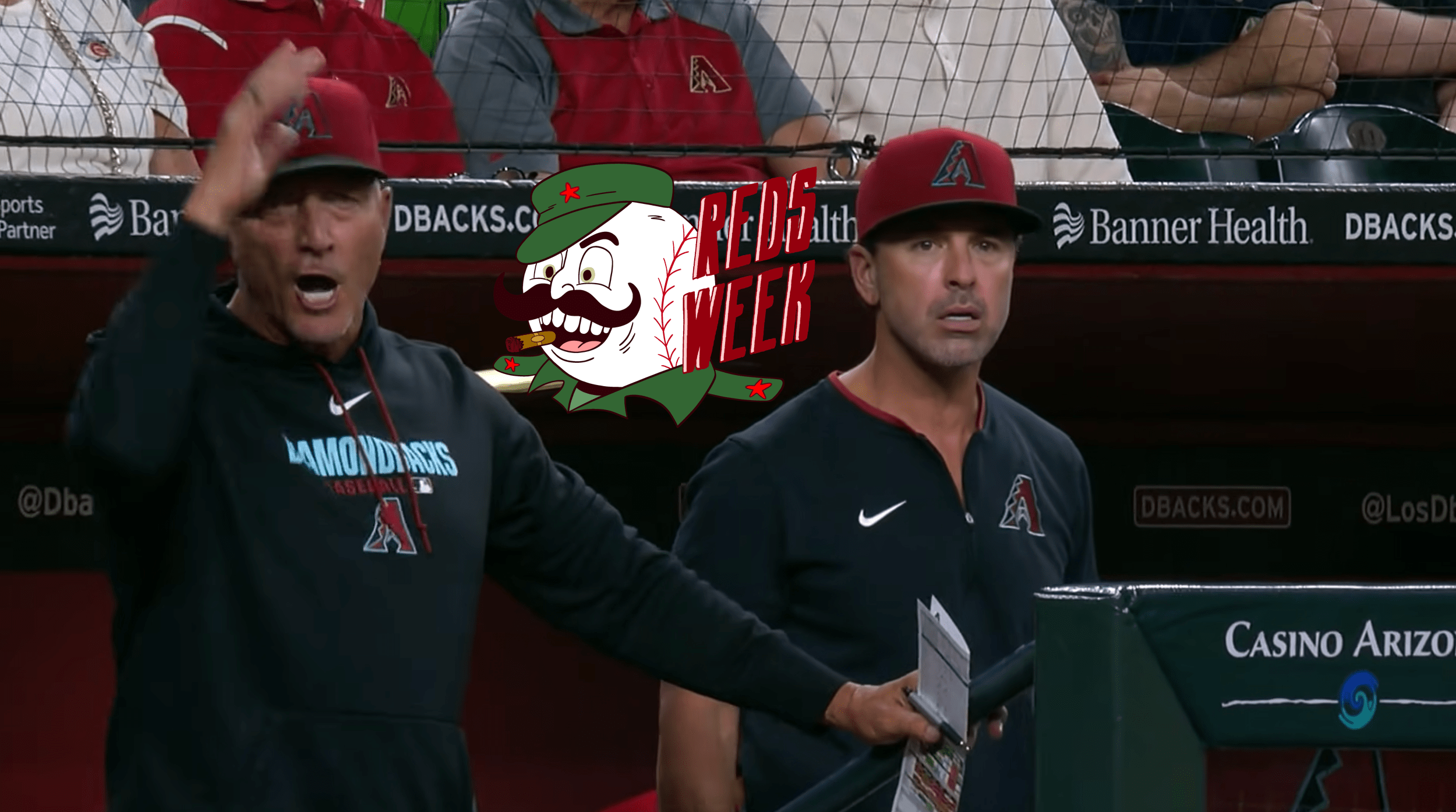 Brian kaplan and jeff banister yelling from the dugout