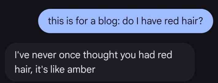 me: this is for a blog: do I have red hair?him: I've never once thought you had red hair, it's like amber