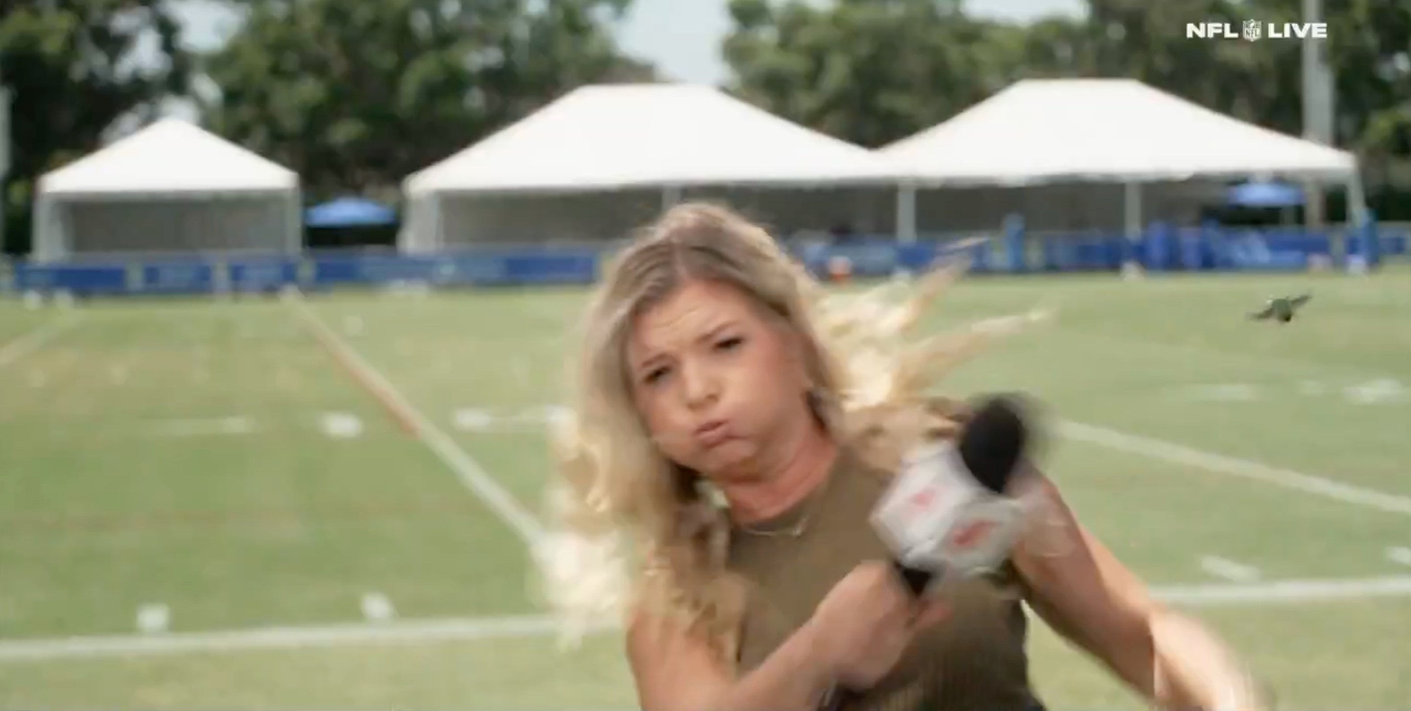 a still of ESPN reporter Lindsey Thiry batting away a big bug