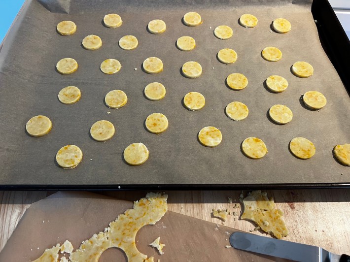 30 or so rounds of raw shortbread arranged on a sheet of parchment, on a baking pan.