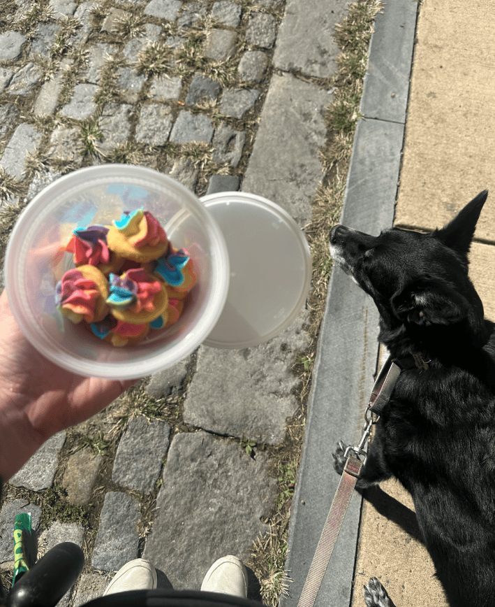 Cookies in a cup, and a dog.
