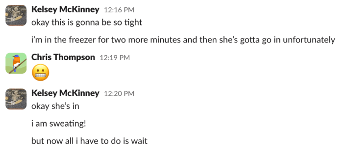 Kelsey: okay this is gonna be so tighti'm in the freezer for two more minutes and then she's gotta go in unfortunatelyChris: [grimace emoji]Kesley: okay she's ini am sweating!but now all i have to do is wait